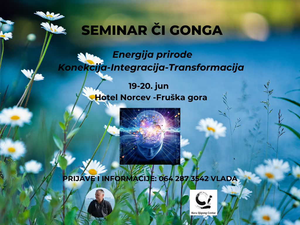 Seminar Či Gonga Energija Prirode